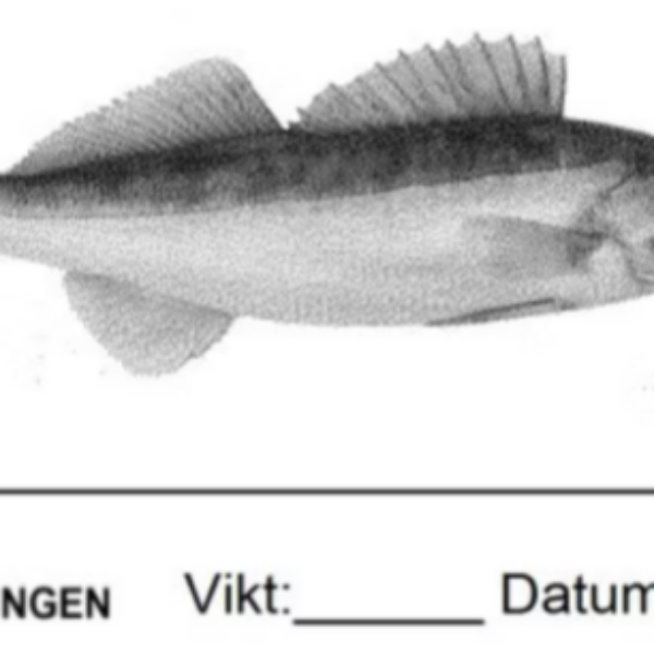 Frysetiketter fisk